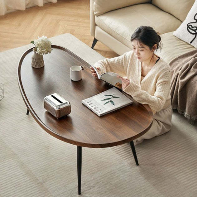 Scandinavian Oval Mango Wood Iron Coffee Table — Pearwood Color