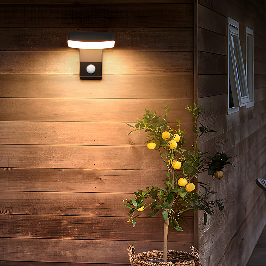 Black Rotatable Motion Sensor Outdoor Wall Light