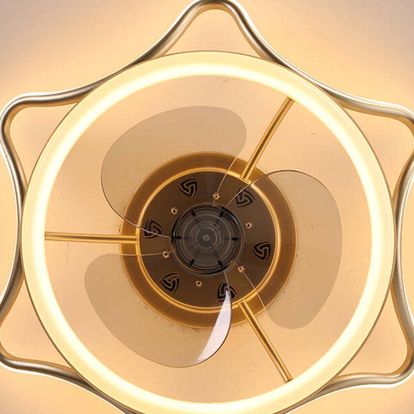 Nordic Round Wrought Iron LED Flush Mount Fan Light