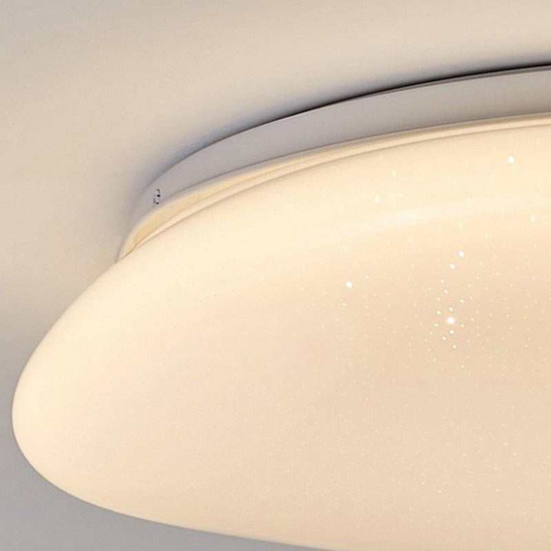 Minimalist Pebble Acrylic LED Flush Mount Light