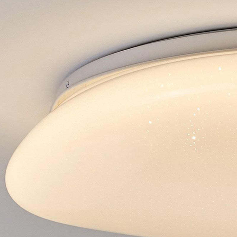 Minimalist Pebble Acrylic LED Flush Mount Light