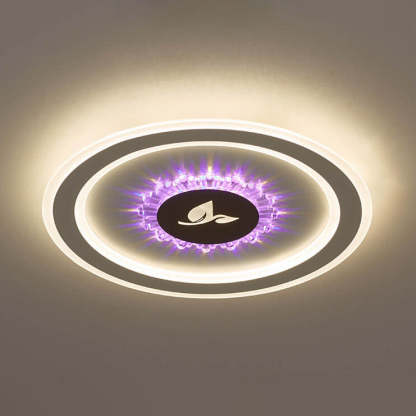 Round Acrylic LED Flush Mount Light