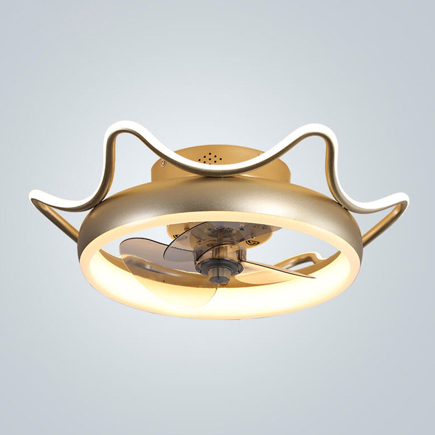 Nordic Round Wrought Iron LED Flush Mount Fan Light