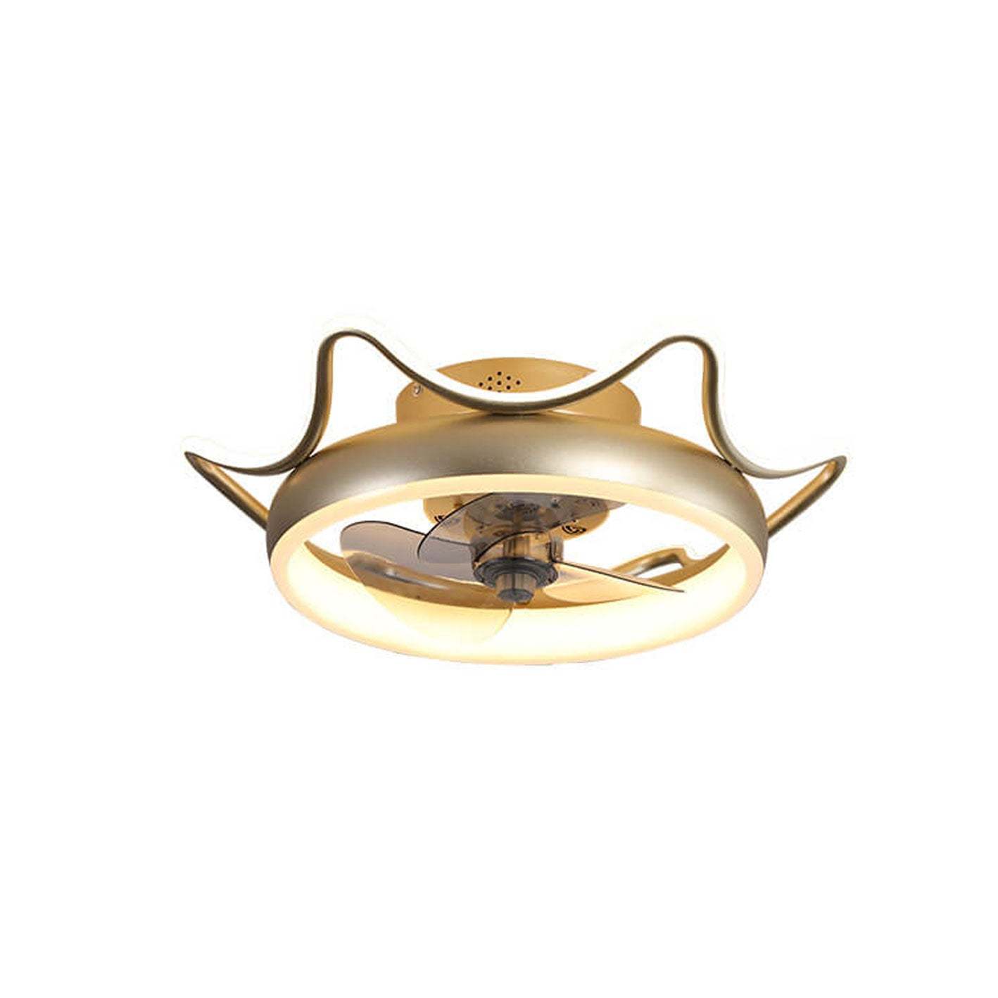 Nordic Round Wrought Iron LED Flush Mount Fan Light