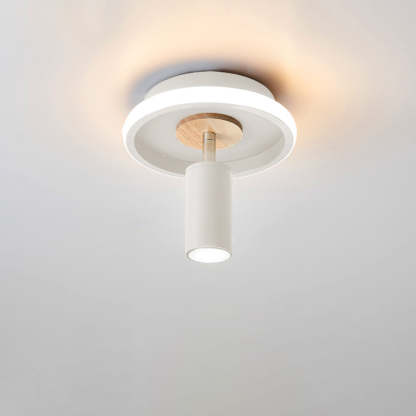 Industrial Iron Barrel Spotlight Flush Mount Light — Green / 110V-120V For US/CA
