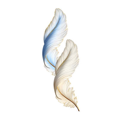 Feather Decorative USB Remote LED Wall Light — White+Orange