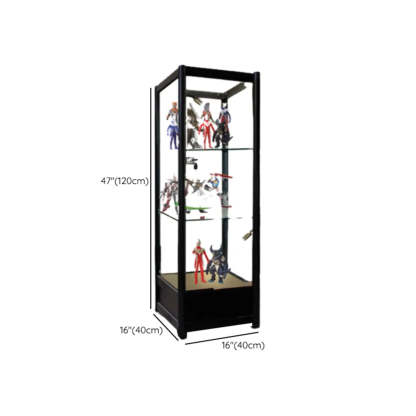Black Metal Clear Glass Display Cabinet — 1