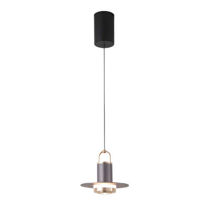 Small Simple Metal Glass LED Nordic Pendant Lamp