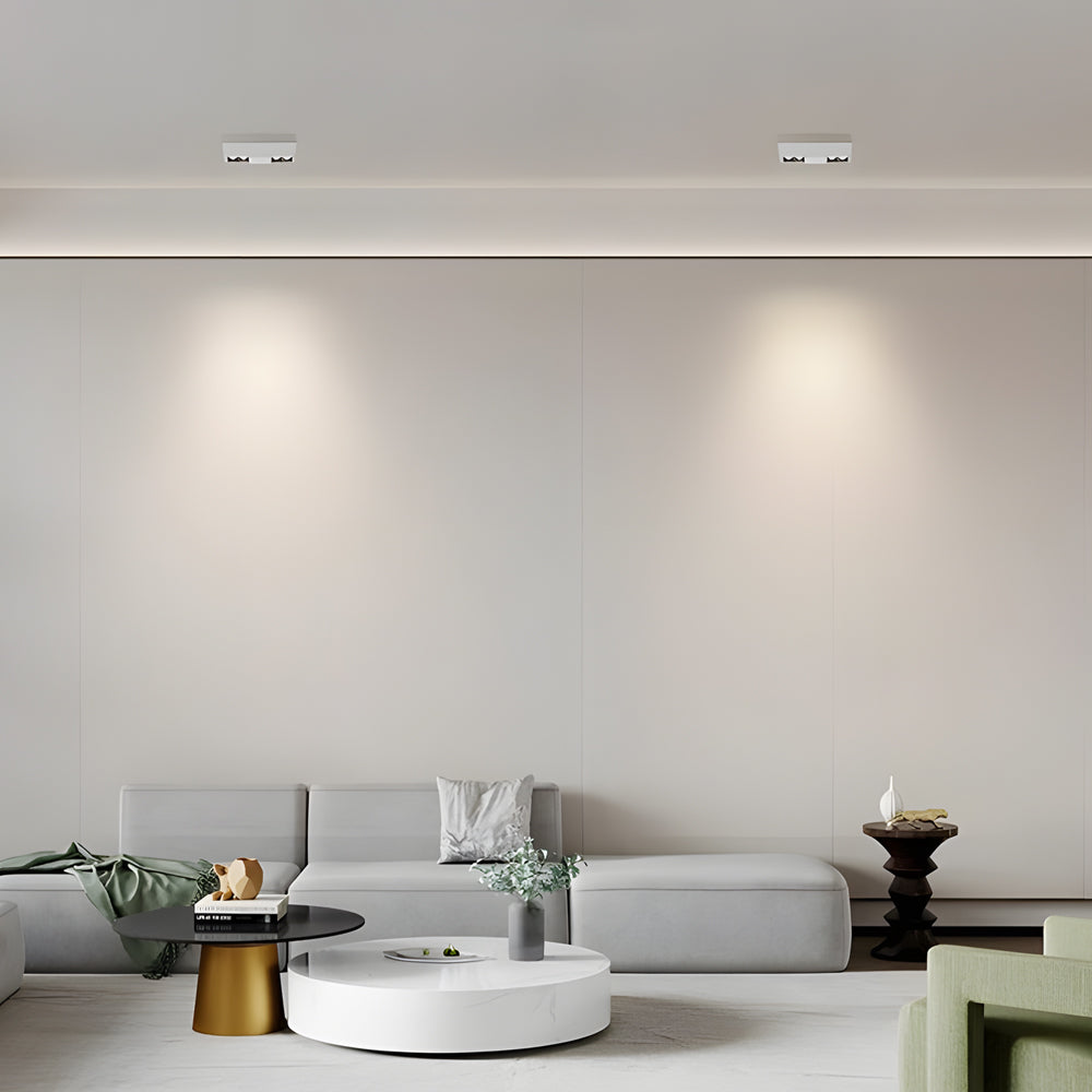 Flush Mount Linear LED Spotlight