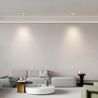 Flush Mount Linear LED Spotlight