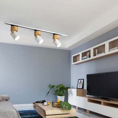 Nordic Minimalist Track Spotlight 1/3-Light Flush Mount