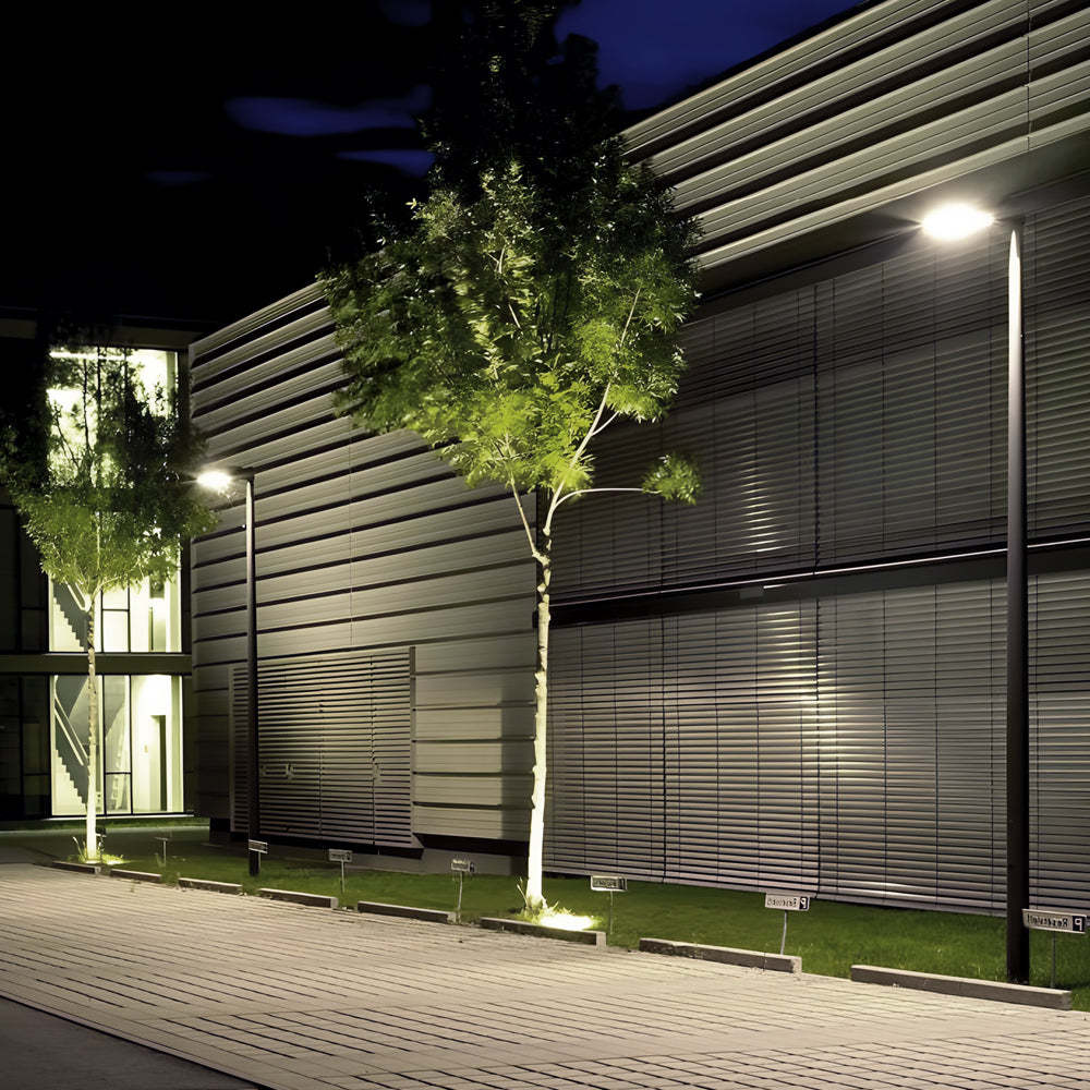 Round Waterproof LED Single/Two Arm Post Top Light-Lighom