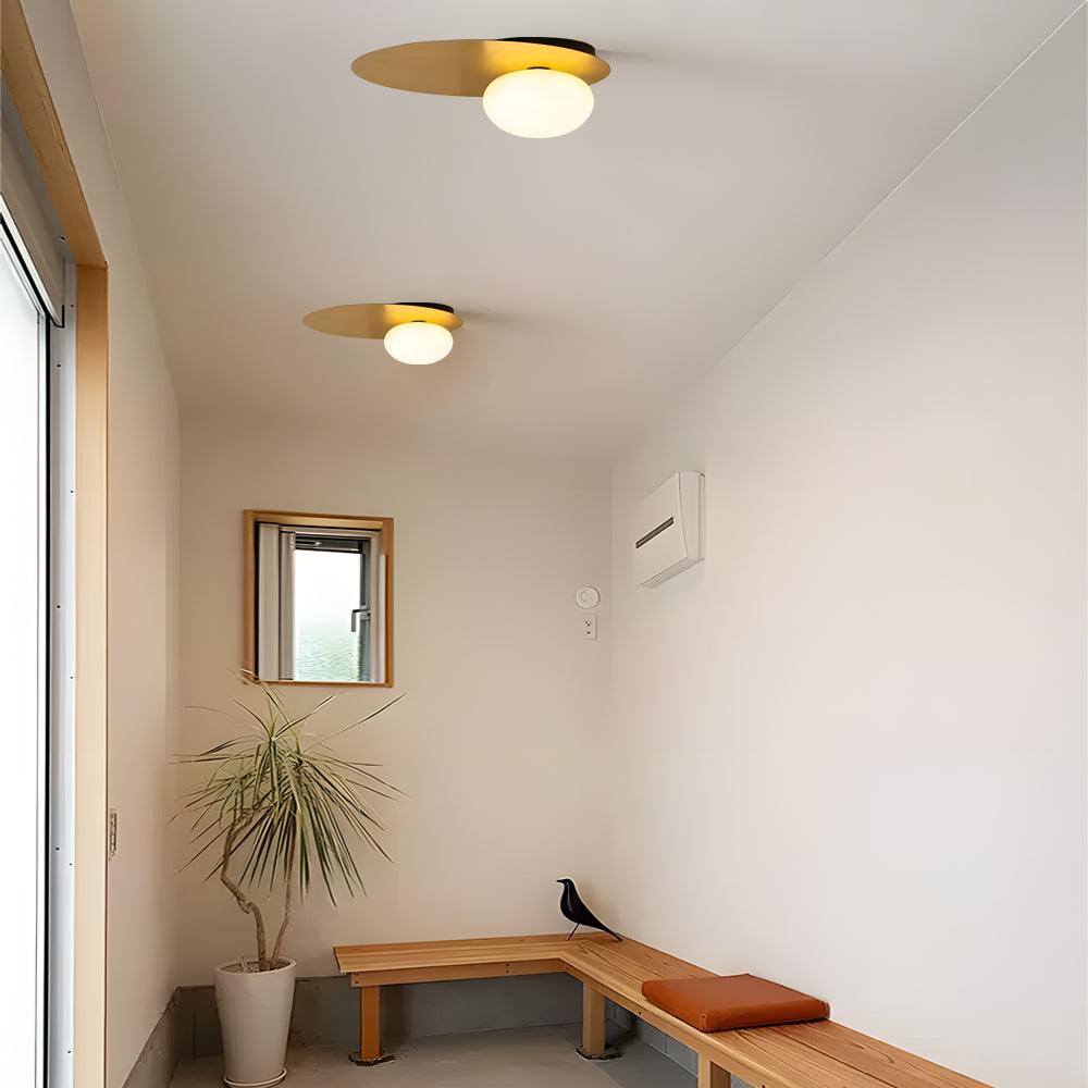 LED Oval Metal White Glass Flush Mount Light