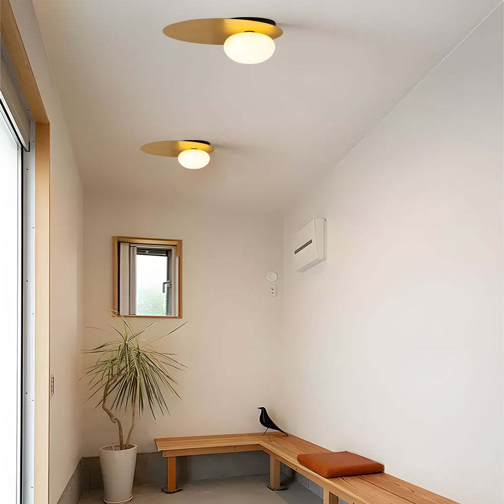 LED Oval Metal White Glass Flush Mount Light