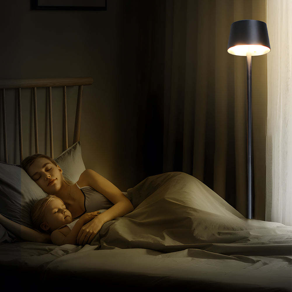 48.8-in Black Touch Dimming LED Rechargeable Floor Lamp-Lighom