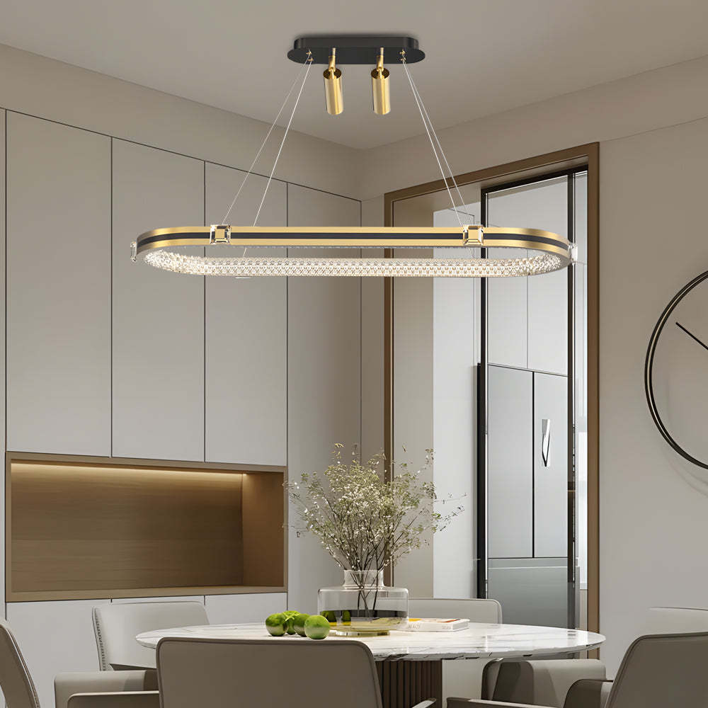 Long Oval Ring Dimmable LED Modern Dining Chandelier
