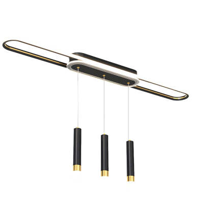 Long Circular LED Modern Ceiling Hanging Light