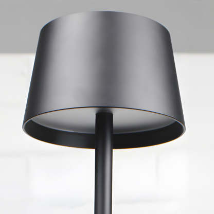 48.8-in Black Touch Dimming LED Rechargeable Floor Lamp-Lighom
