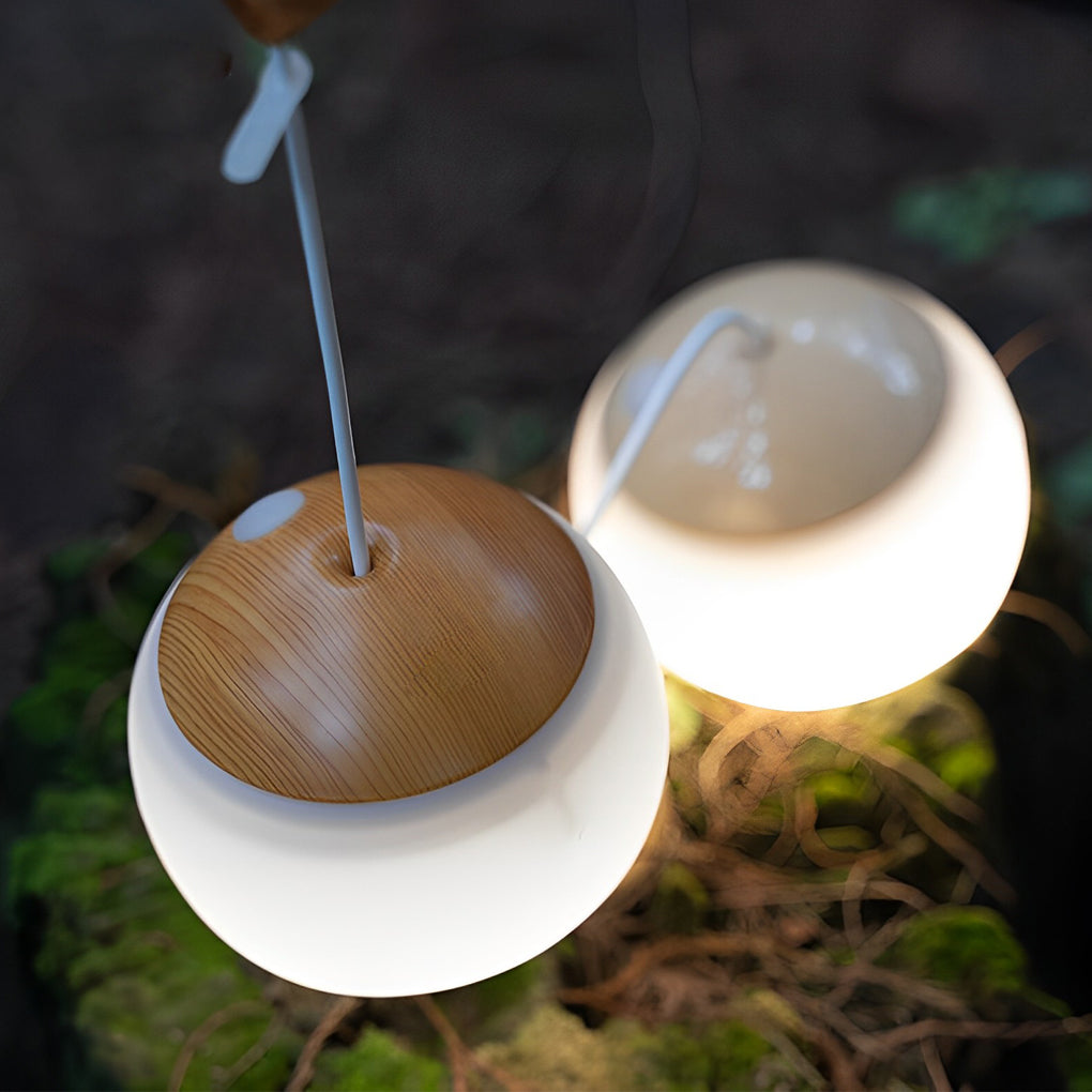 Round LED Dimmable USB Rechargeable Modern Portable Camping Lights-Lighom