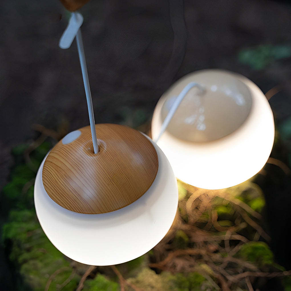 Round LED Dimmable USB Rechargeable Modern Portable Camping Lights-Lighom
