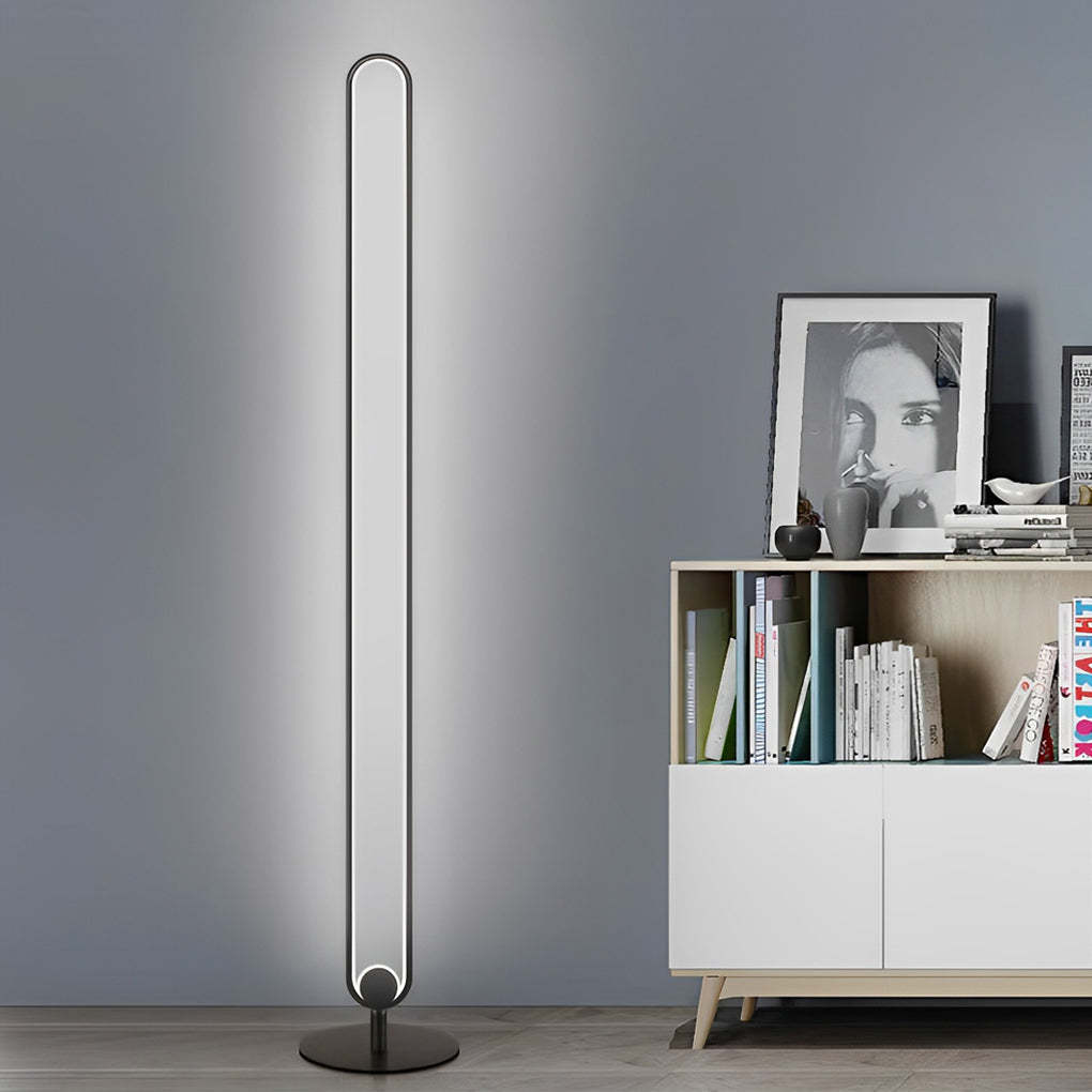 Minimalist LED Standing Oval Floor Lamp