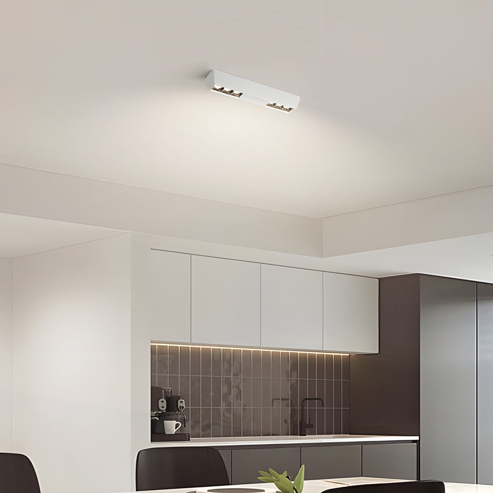 Flush Mount Linear LED Spotlight
