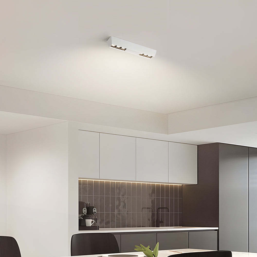 Flush Mount Linear LED Spotlight