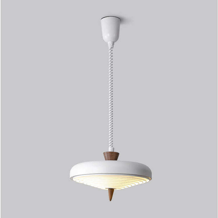 Industrial Iron Japanese Walnut Retractable Pendant Light