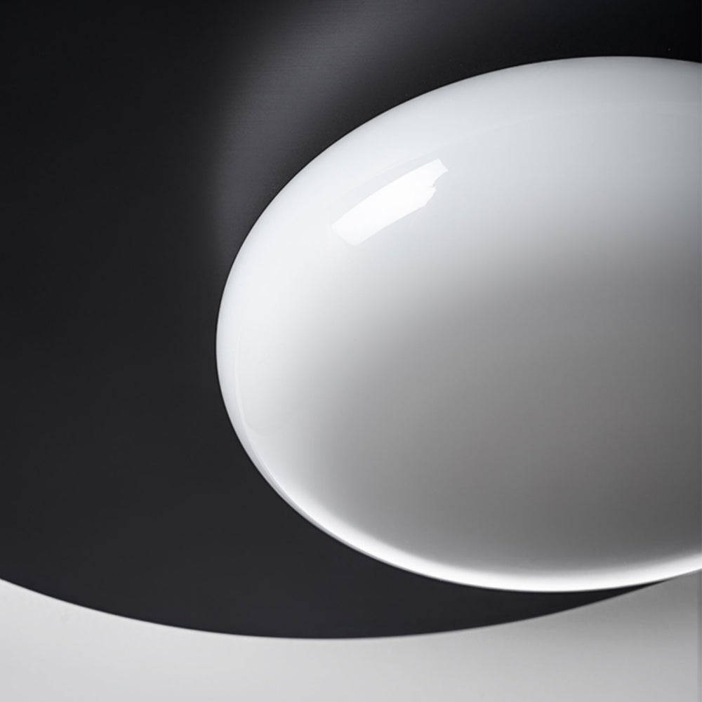 LED Oval Metal White Glass Flush Mount Light