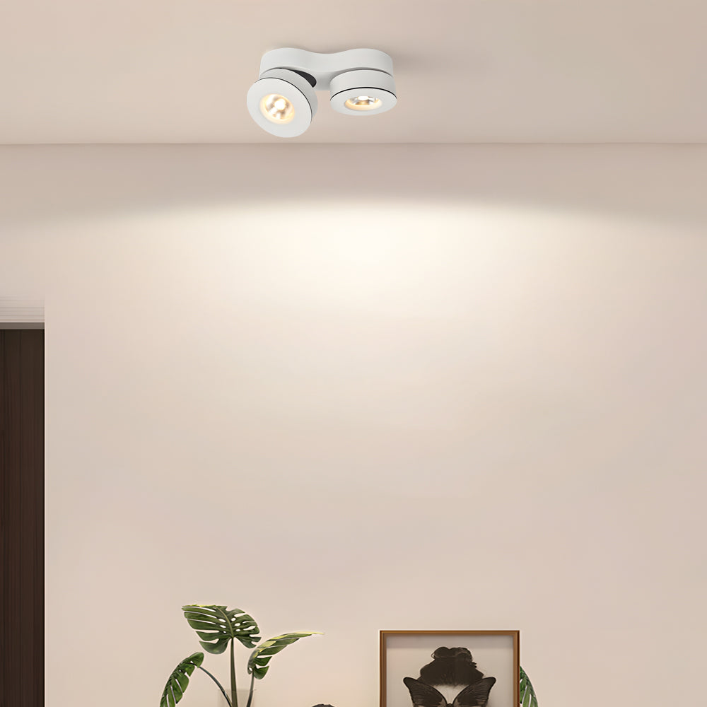 Modern Double-Head Rotating Ceiling - Black/White