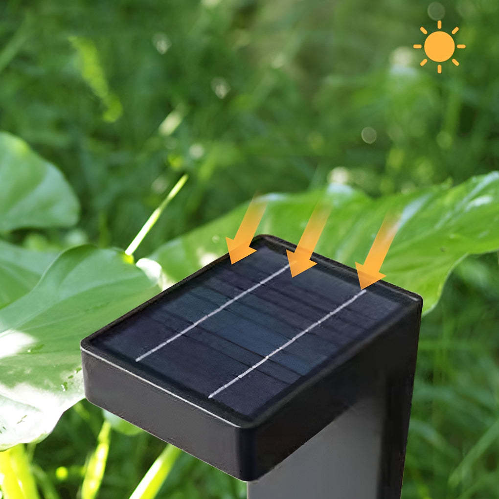 Dusk-to-Dawn Modern LED Solar Pathway Light
