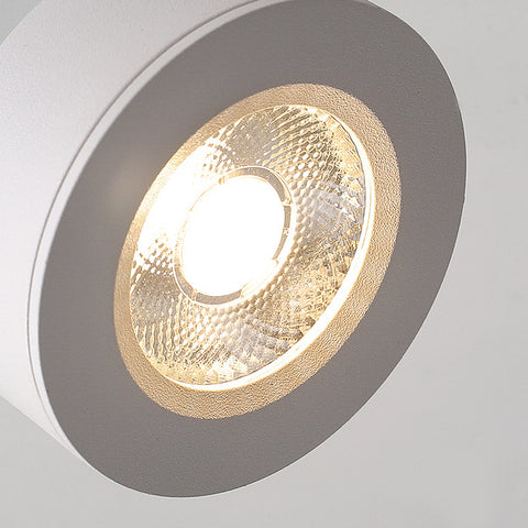 Dazuma Adjustable LED Nordic Flush Mount Ceiling Light
