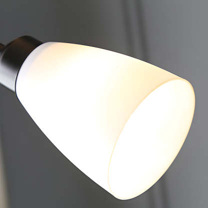 67 inch Modern Torchiere Uplight Floor Lamp with Adjustable Sidelight-Lighom