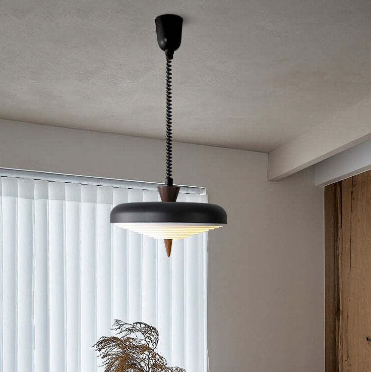 Industrial Iron Japanese Walnut Retractable Pendant Light