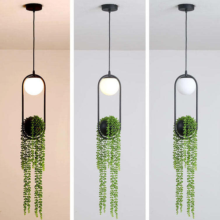 Glass Ball Plant Hanging Pendant Light