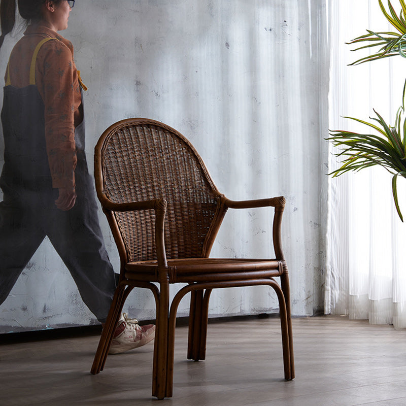 Lighom traditional oval brown accent chairs in rattan metal