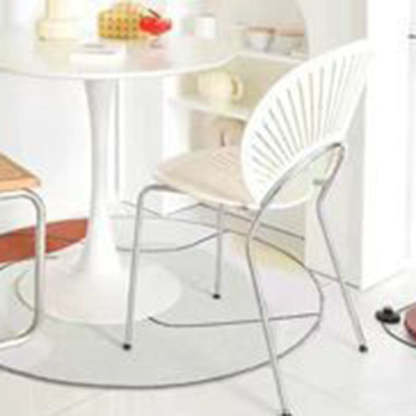 Nordic Shell Solid Wood Steel Dining Chair
