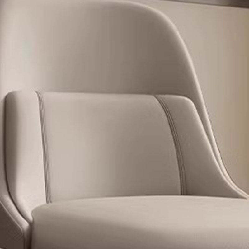 Modern Luxury Metal Dining Chair