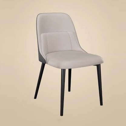 Modern Luxury Metal Dining Chair