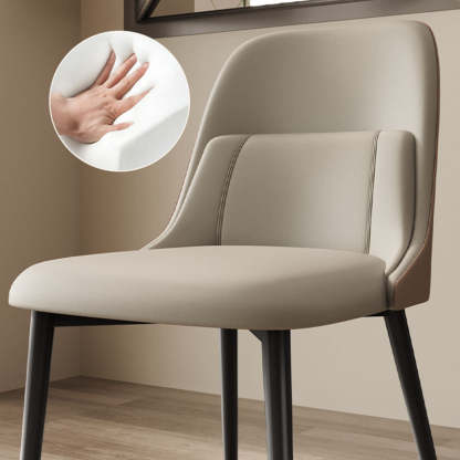 Modern Luxury Metal Dining Chair