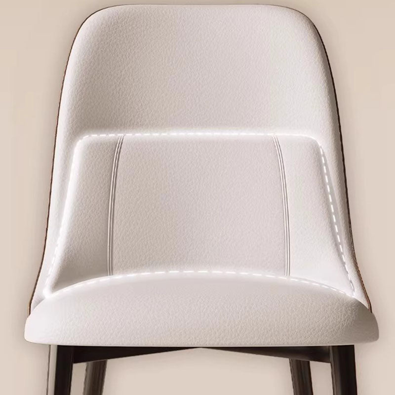 Modern Luxury Metal Dining Chair