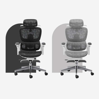 Modern Mesh Nylon Steel Liftable Desk Chair