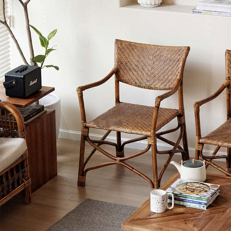 Vintage Weaving Agate Vine Dining Chair