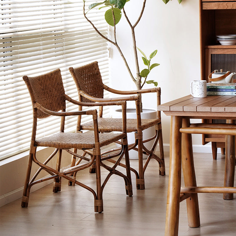 Vintage Weaving Agate Vine Dining Chair