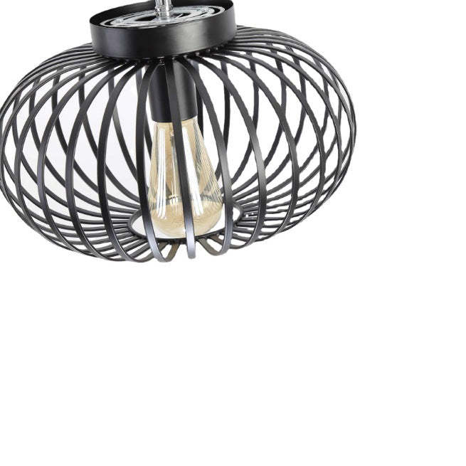 Minimalist Iron Oval Lantern Ceiling Light