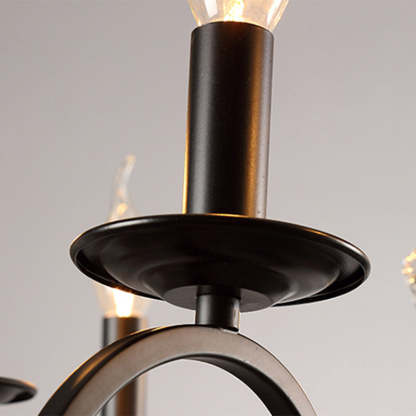 European Iron Crystal Branch Chandelier