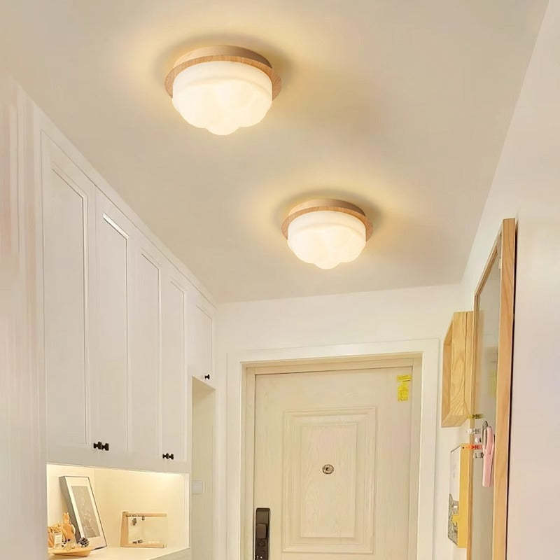 Nordic Iron Semi-Flush Ceiling Light