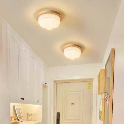 Nordic Iron Semi-Flush Ceiling Light