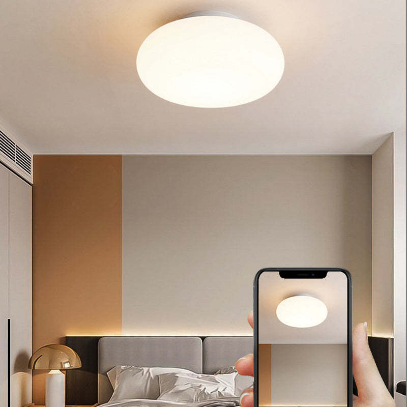 Minimalist Iron Semi-Flush Ceiling Light
