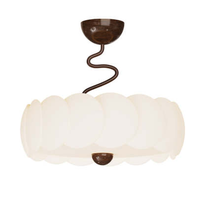 Minimalist Iron Curved LED Ceiling Light